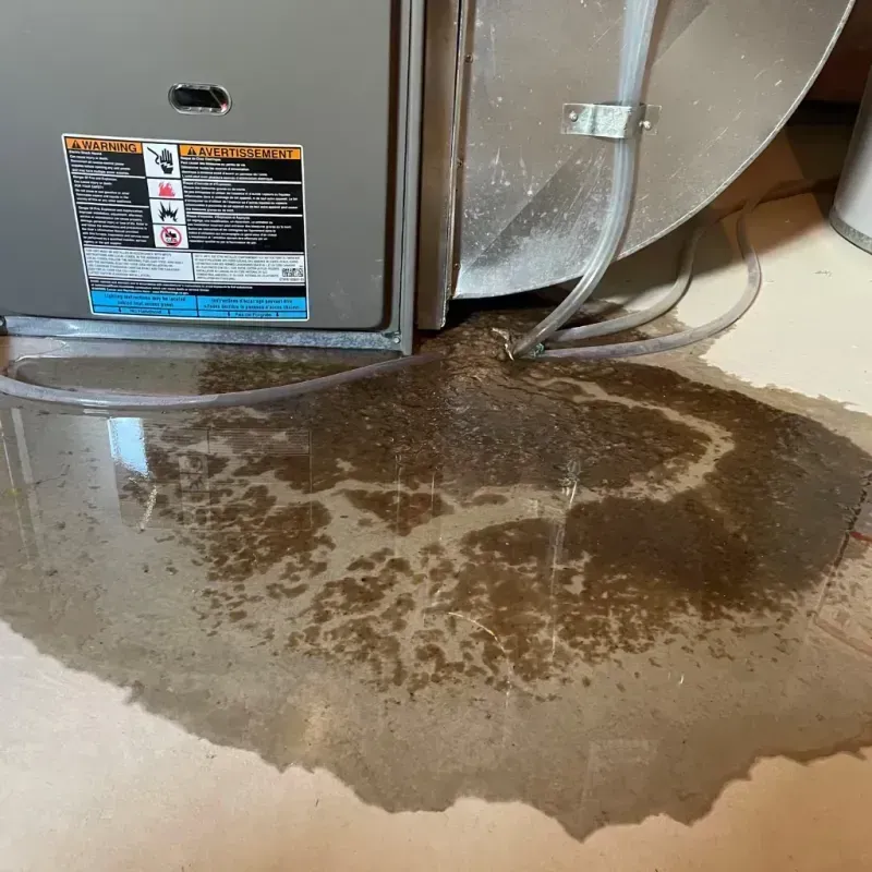 Appliance Leak Cleanup in Westmorland, CA